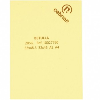 PAQUETE 100 HOJAS A3 350G CARTULINA WOODSTOCK BETULLA