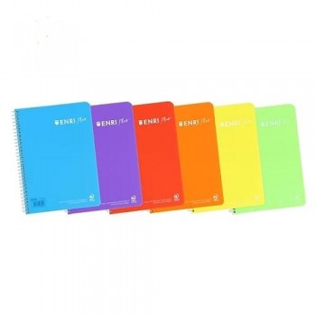 CUADERNO TAPA PLASTICO ENRI CUARTO CUADRO 4X4 80H 90G