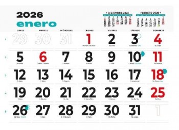 PAQUETE 50 FALDILLAS CALENDARIO MENSUAL CON NOTAS 43,5CM X 31,5CM