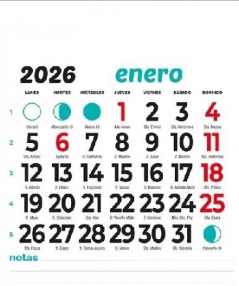 PAQUETE 50 FALDILLAS CALENDARIO CON NOTAS 10 CM ancho x 12 CM largo